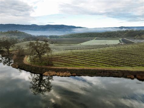 In Brief: Chanel Buys Napa Valley's St. Supéry .